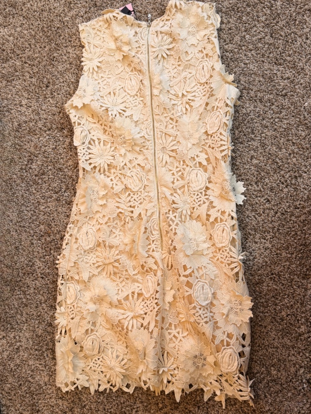 Avec Les Filles Women's Sleeveless 3D Floral Embroidery Mini Dress - Picture 3 of 6